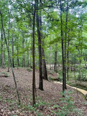 Lot 6 Wilson Drive Fort Mill SC 29707