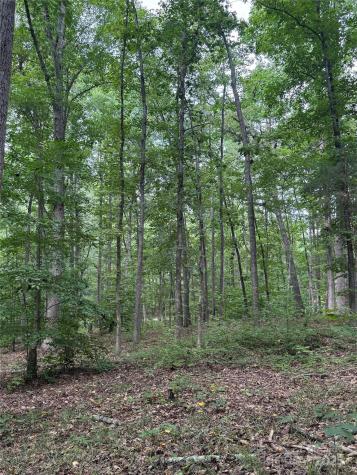 Lot 6 Wilson Drive Fort Mill SC 29707