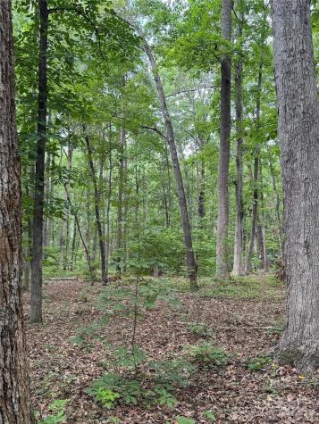 Lot 6 Wilson Drive Fort Mill SC 29707