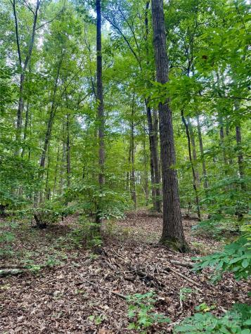 Lot 6 Wilson Drive Fort Mill SC 29707
