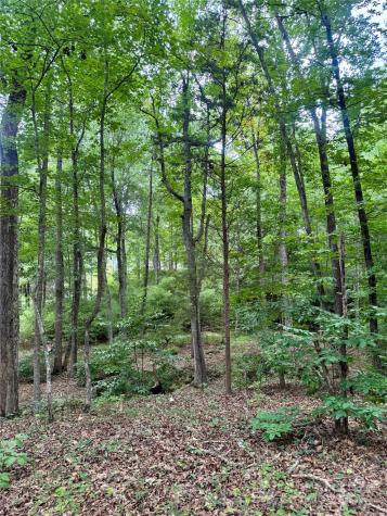 Lot 6 Wilson Drive Fort Mill SC 29707