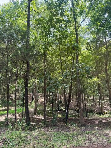 Lot 6 Wilson Drive Fort Mill SC 29707