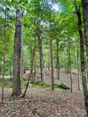Lot 6 Wilson Drive Fort Mill SC 29707