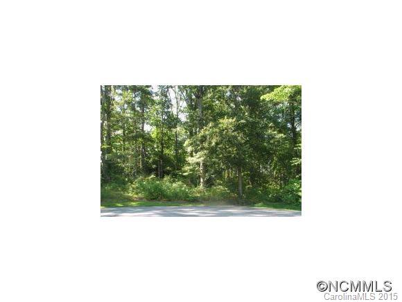 202 Lone Oak Drive Mills River NC 28759