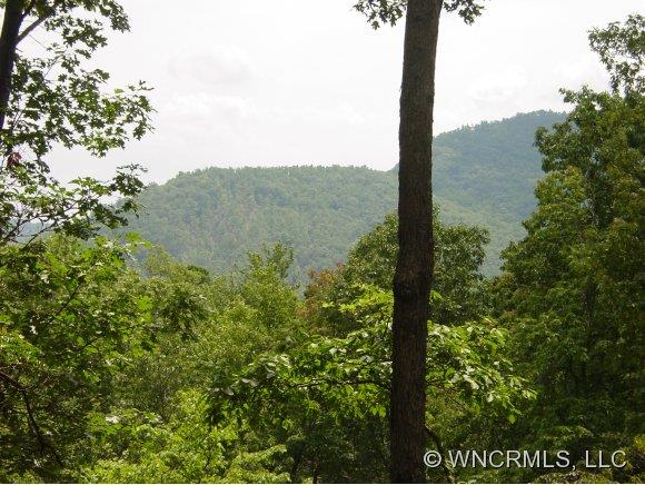 74 Smokey Ridge Trail Arden NC 28704