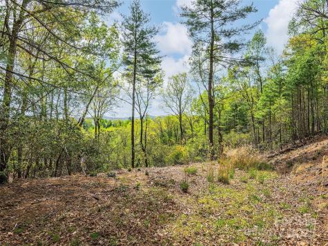Lot #56 Winterberry Drive Hendersonville NC 28739