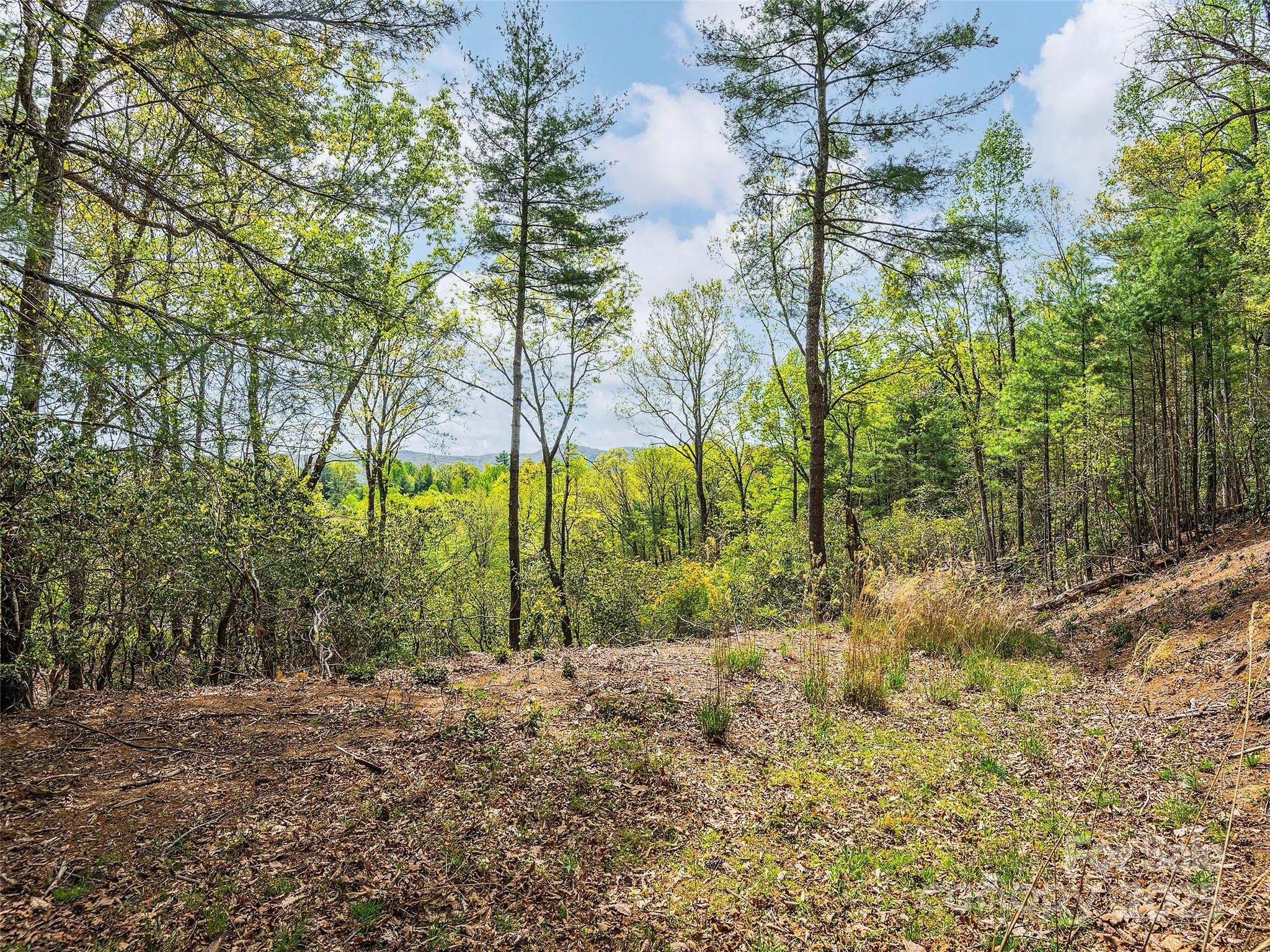 Lot #56 Winterberry Drive Hendersonville NC 28739