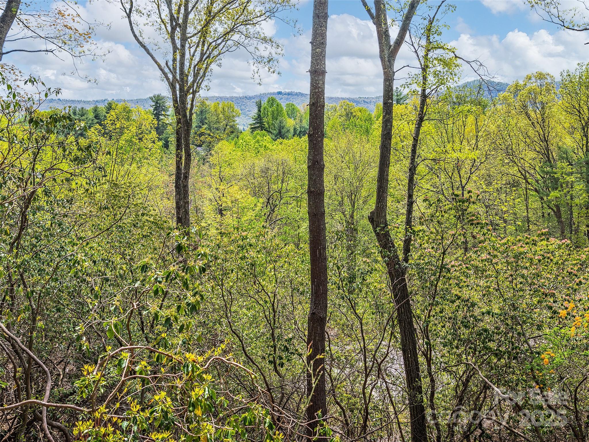 Lot #56 Winterberry Drive Hendersonville NC 28739