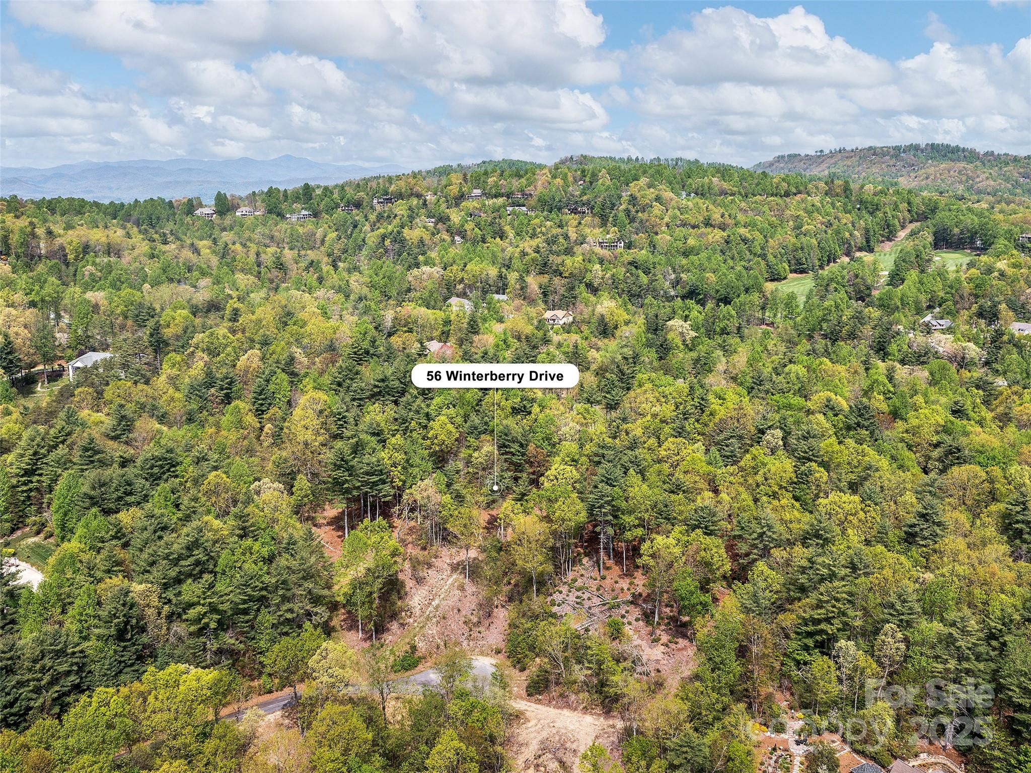 Lot #56 Winterberry Drive Hendersonville NC 28739
