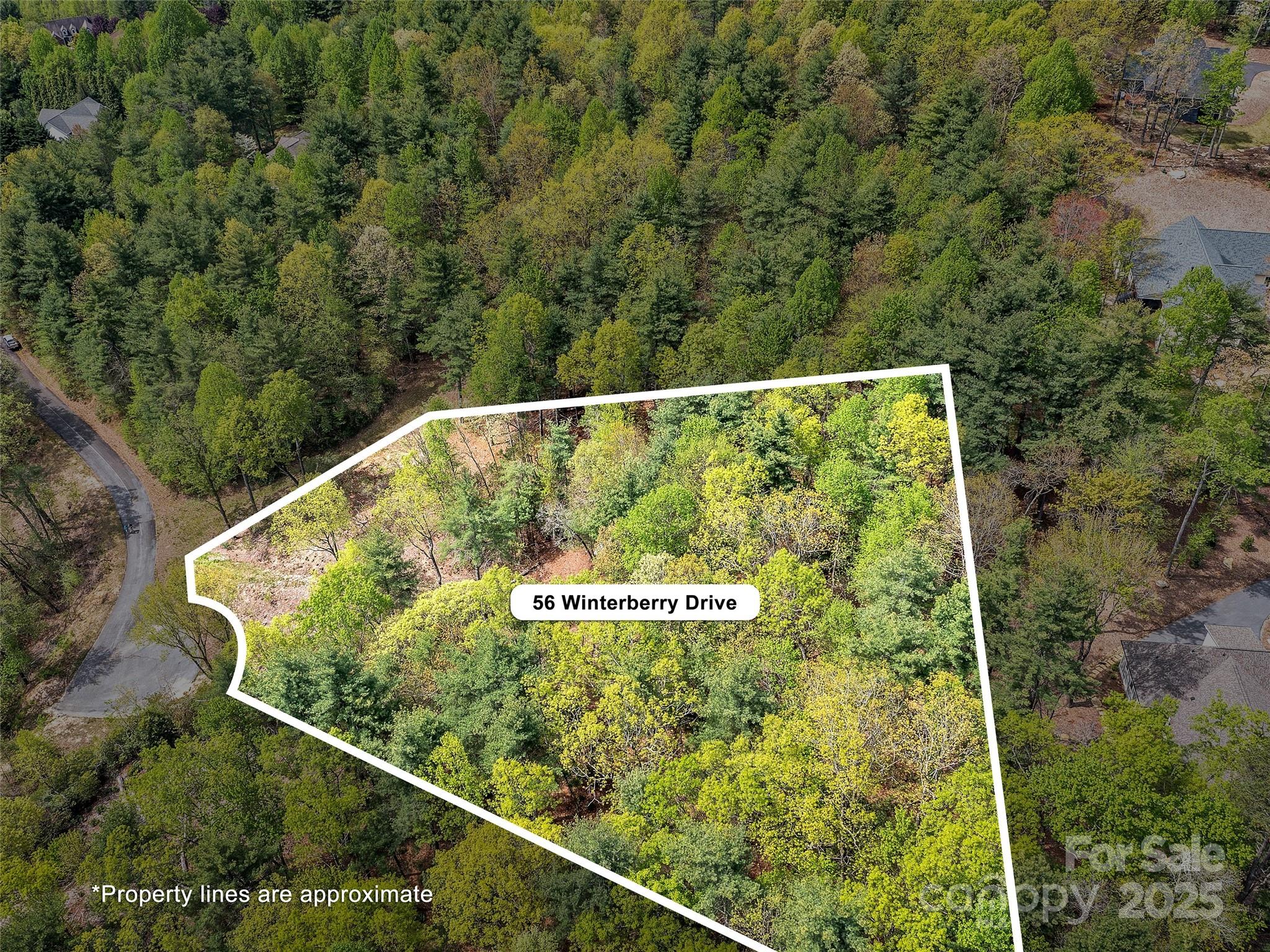 Lot #56 Winterberry Drive Hendersonville NC 28739