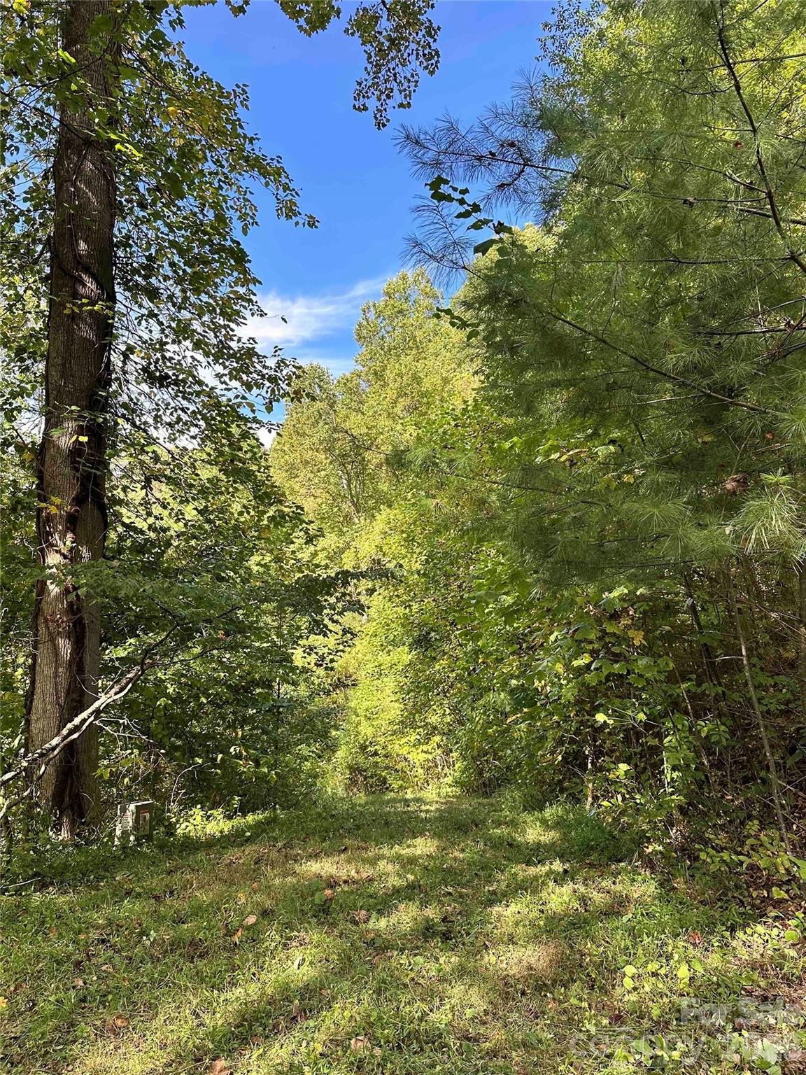 94 Locust Grove Lane Weaverville NC 28787