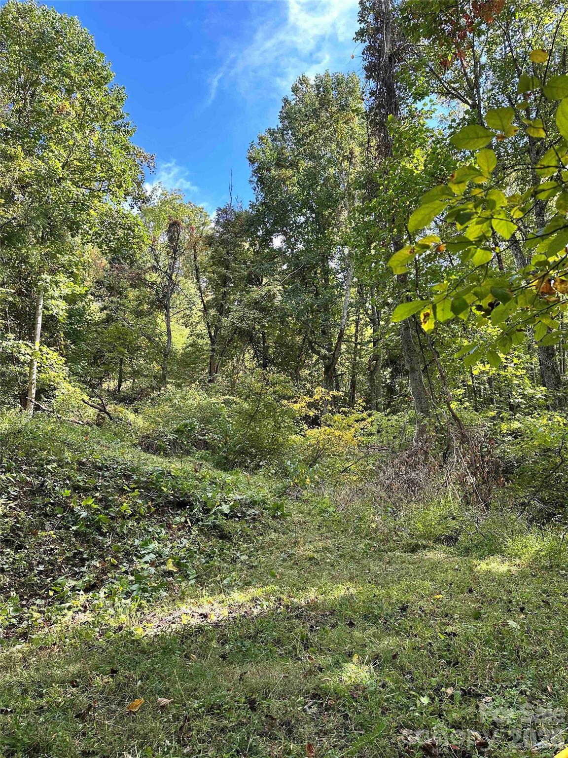 94 Locust Grove Lane Weaverville NC 28787