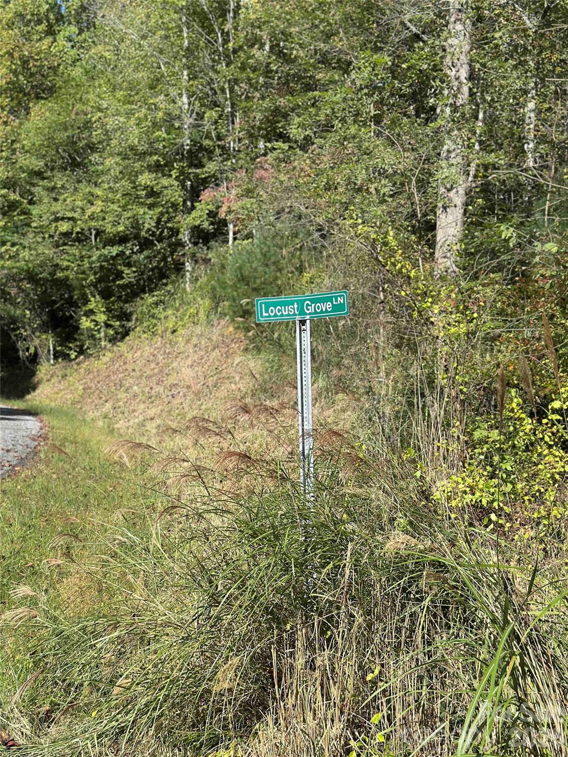 94 Locust Grove Lane Weaverville NC 28787