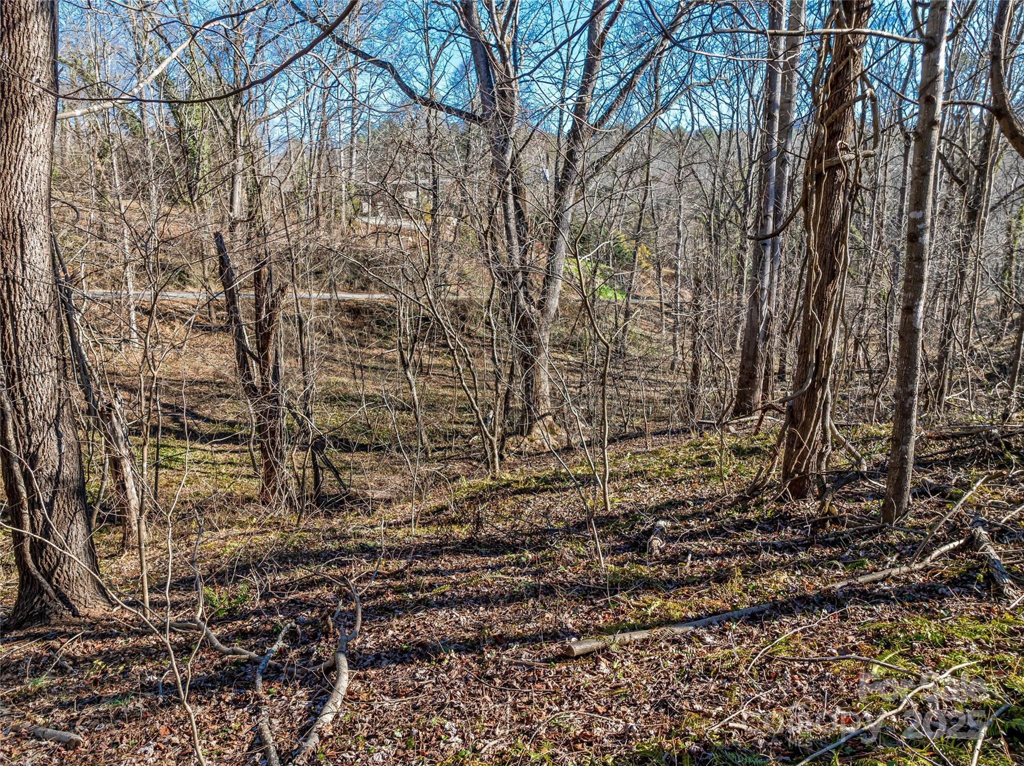 7 Kiftsgate Court Asheville NC 28804