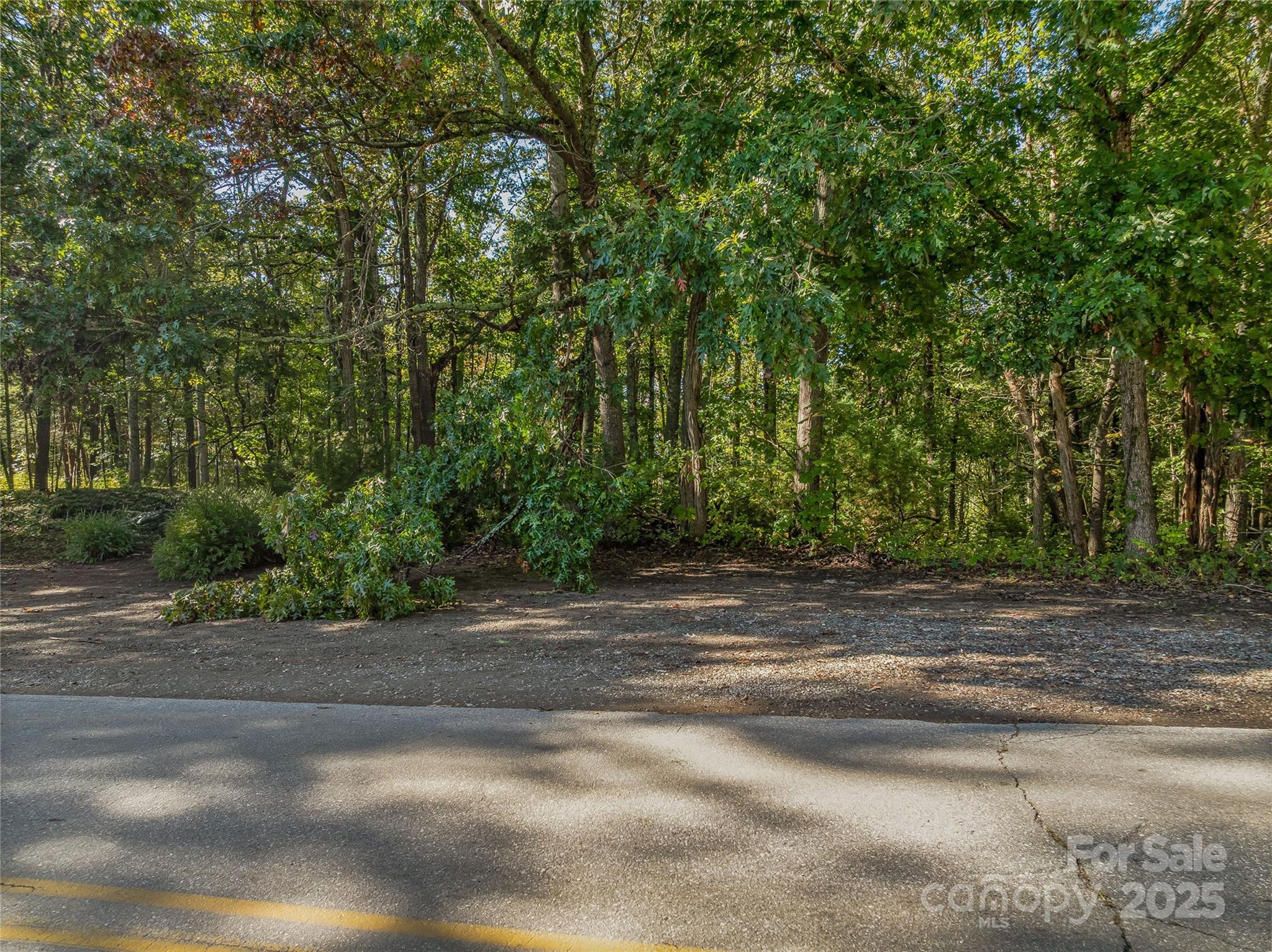 99999 Hi Alta Avenue Asheville NC 28806