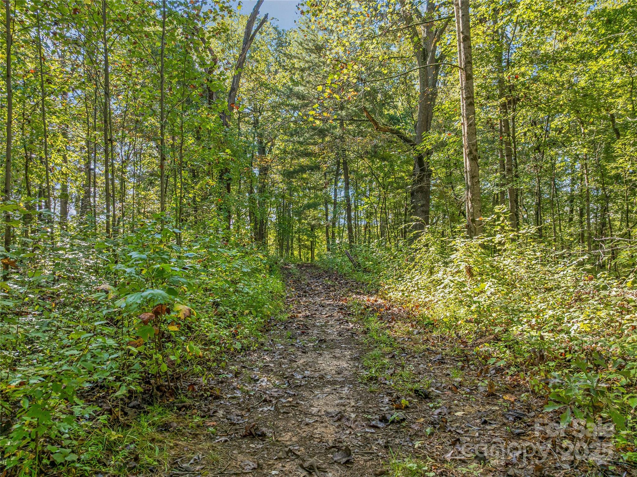99999 Hi Alta Avenue Asheville NC 28806