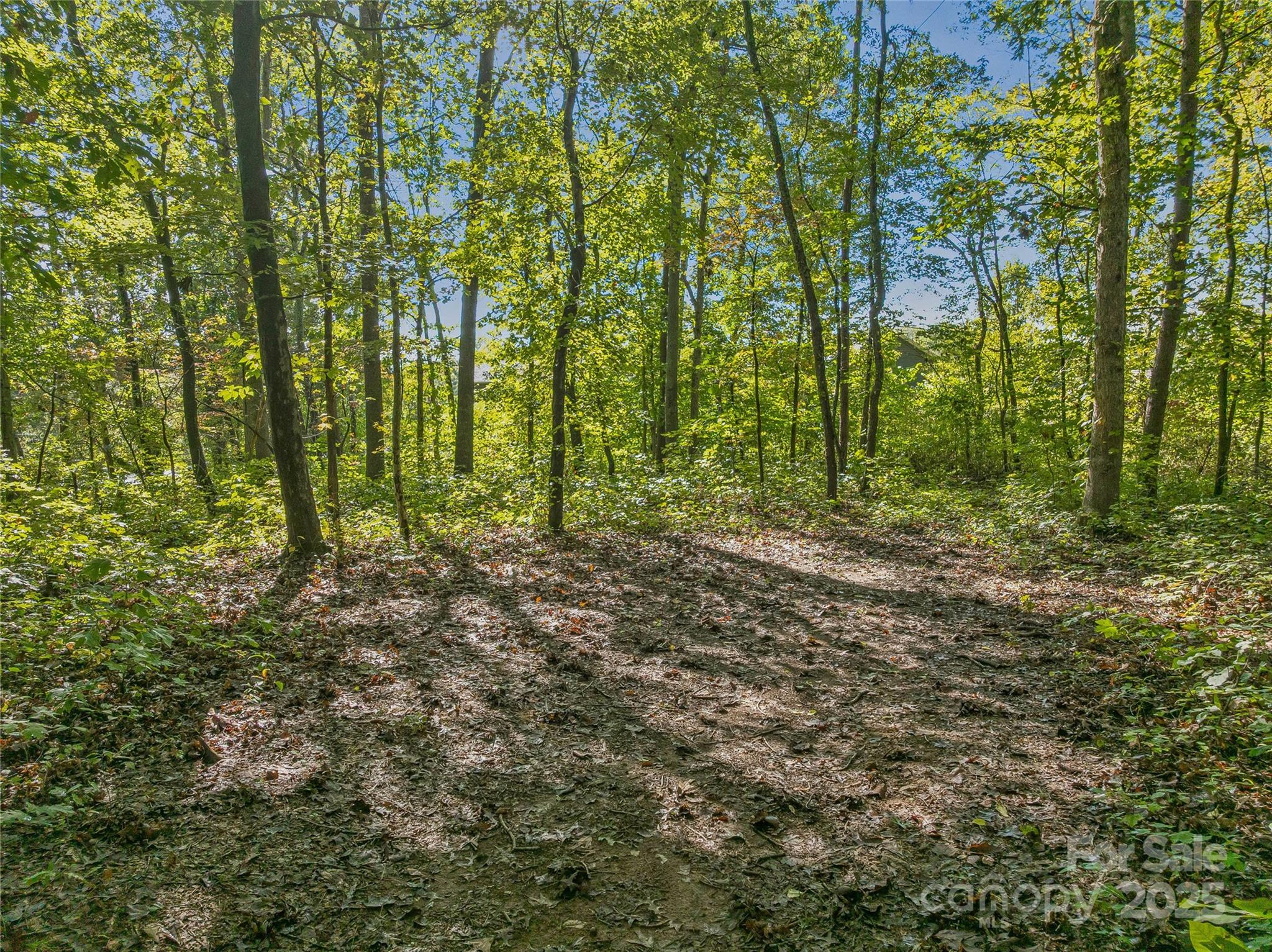 99999 Hi Alta Avenue Asheville NC 28806