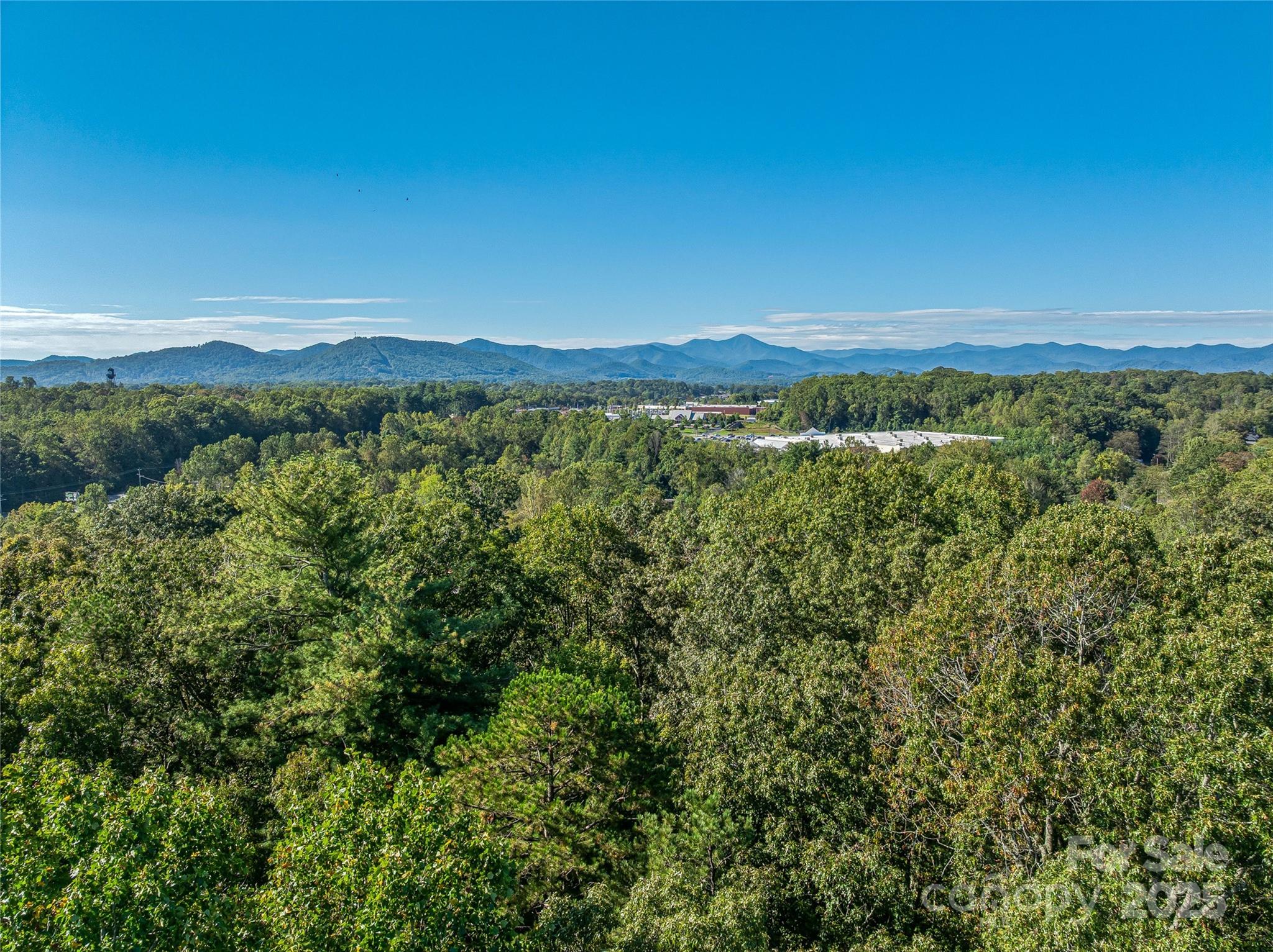 99999 Hi Alta Avenue Asheville NC 28806