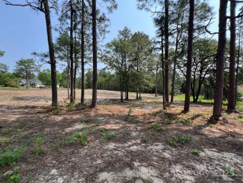 0 Ruby Road Hartsville SC 29550