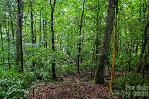 10717 Wildlife Road Charlotte NC 28278