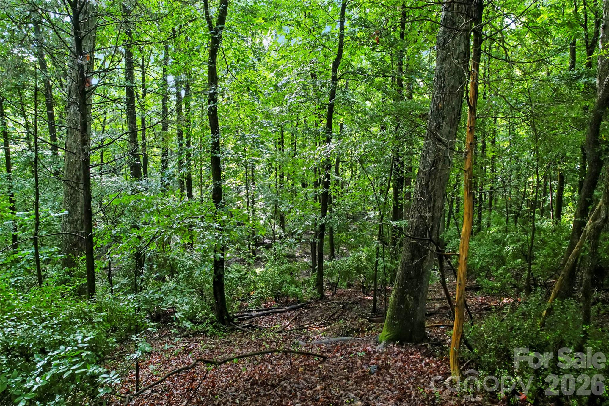 10717 Wildlife Road Charlotte NC 28278