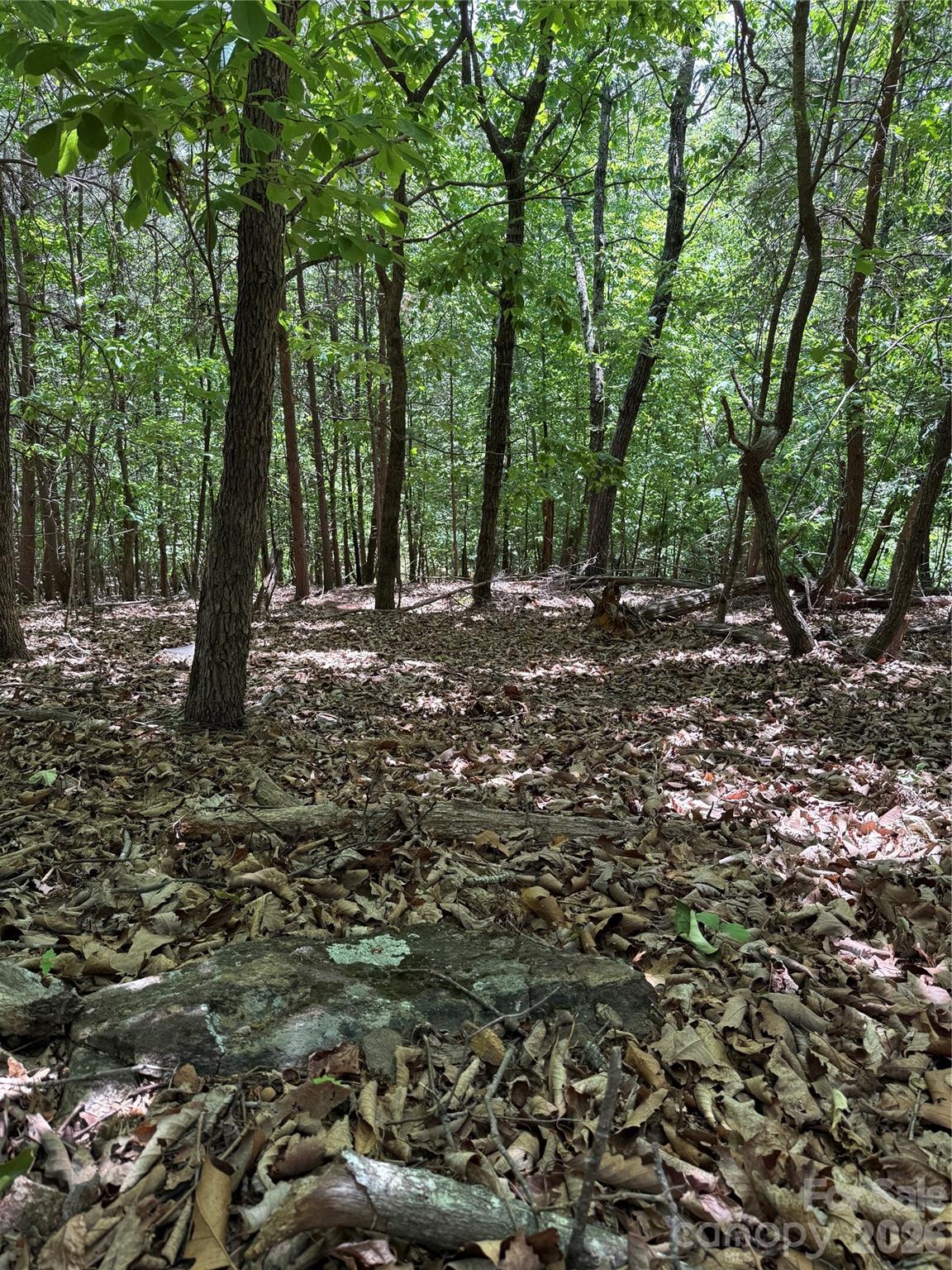 85 Adirondack Lane Bostic NC 28018
