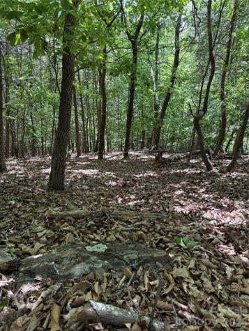 85 Adirondack Lane Bostic NC 28018