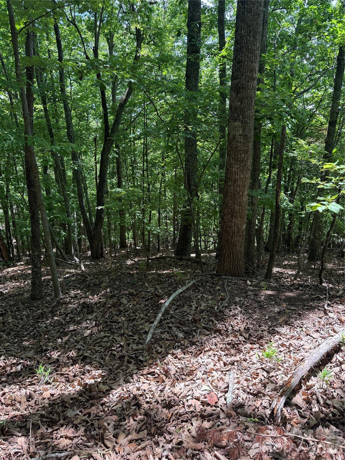 85 Adirondack Lane Bostic NC 28018