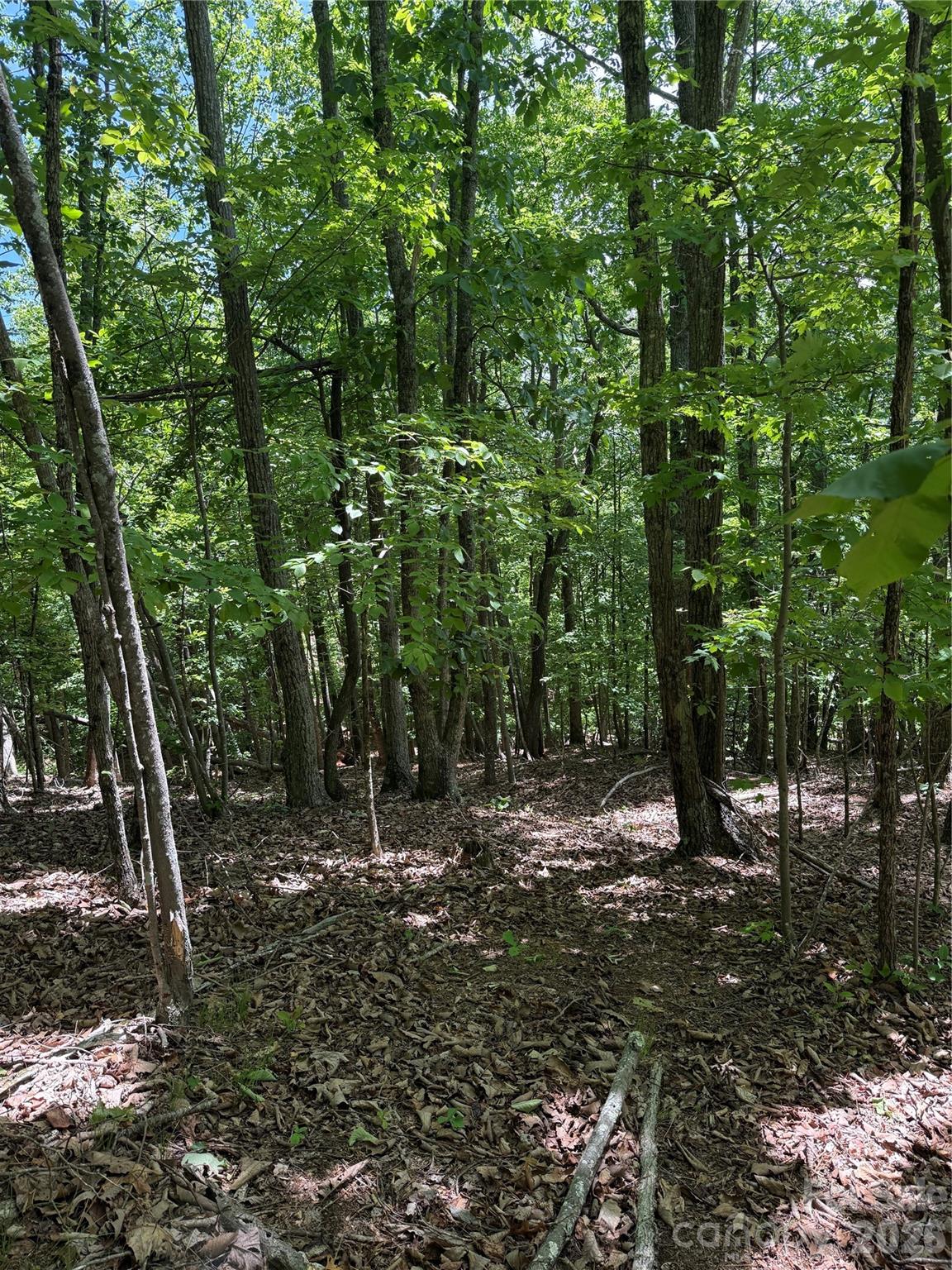 85 Adirondack Lane Bostic NC 28018