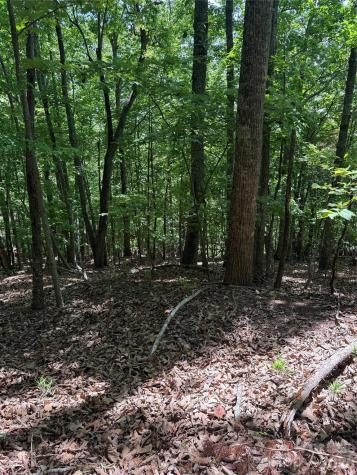 85 Adirondack Lane Bostic NC 28018