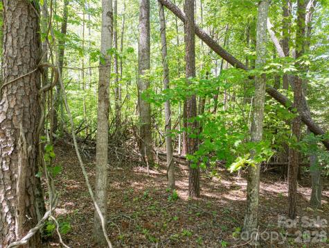 99999 Brevard Road Arden NC 28704