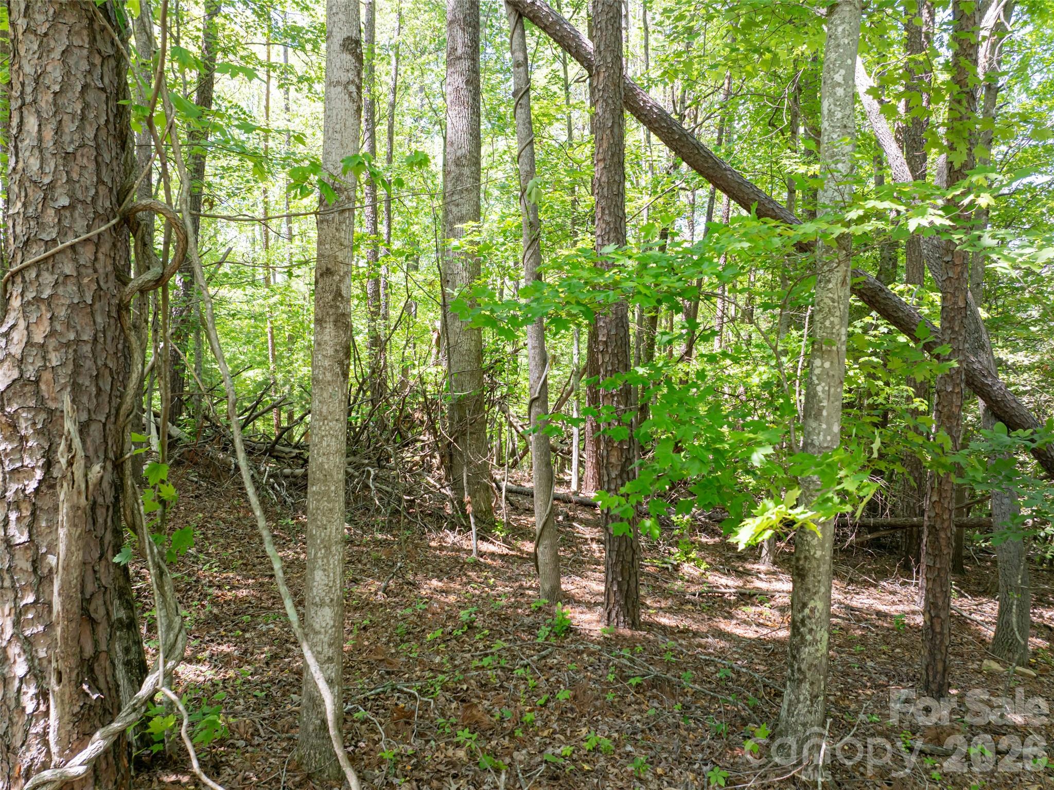 99999 Brevard Road Arden NC 28704