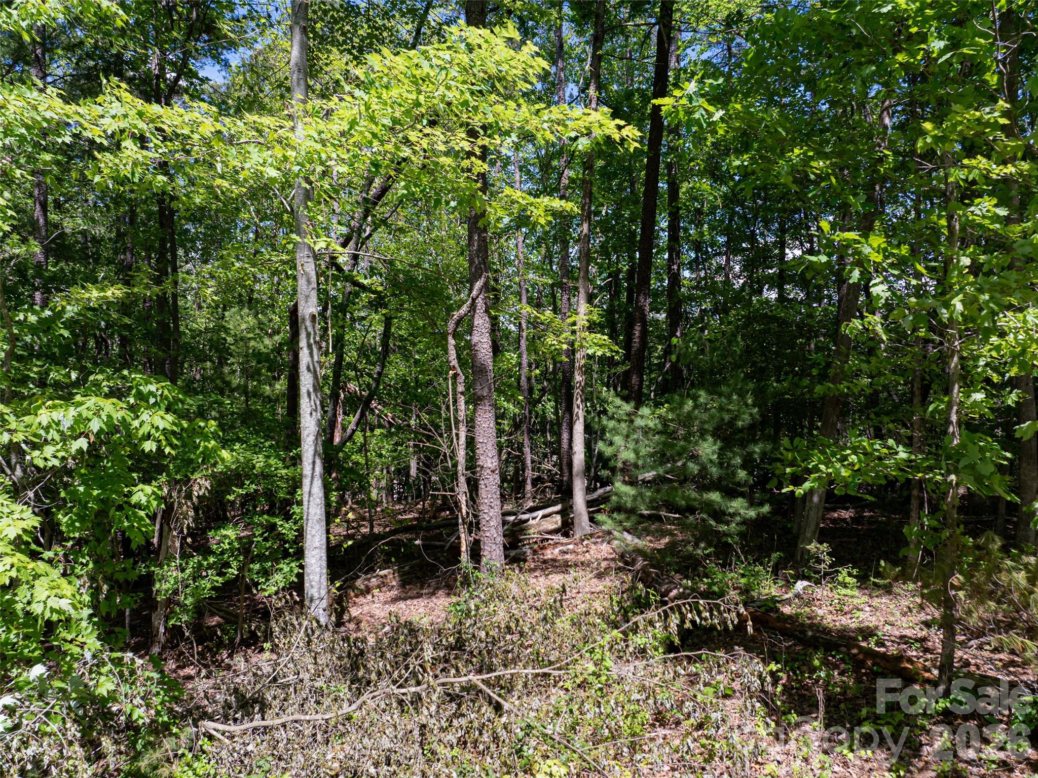 99999 Brevard Road Arden NC 28704