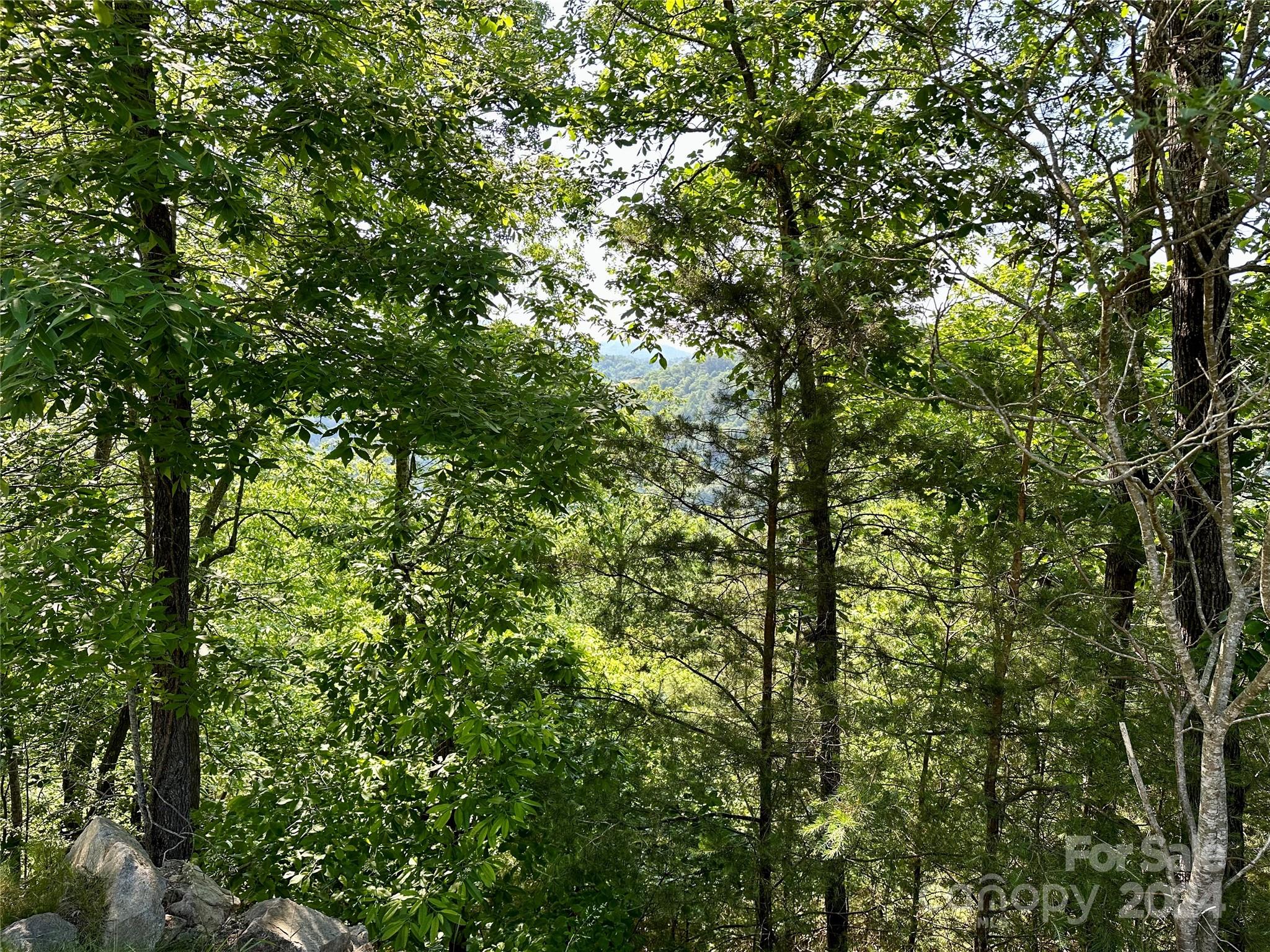 387 Wild River Run Marshall NC 28753