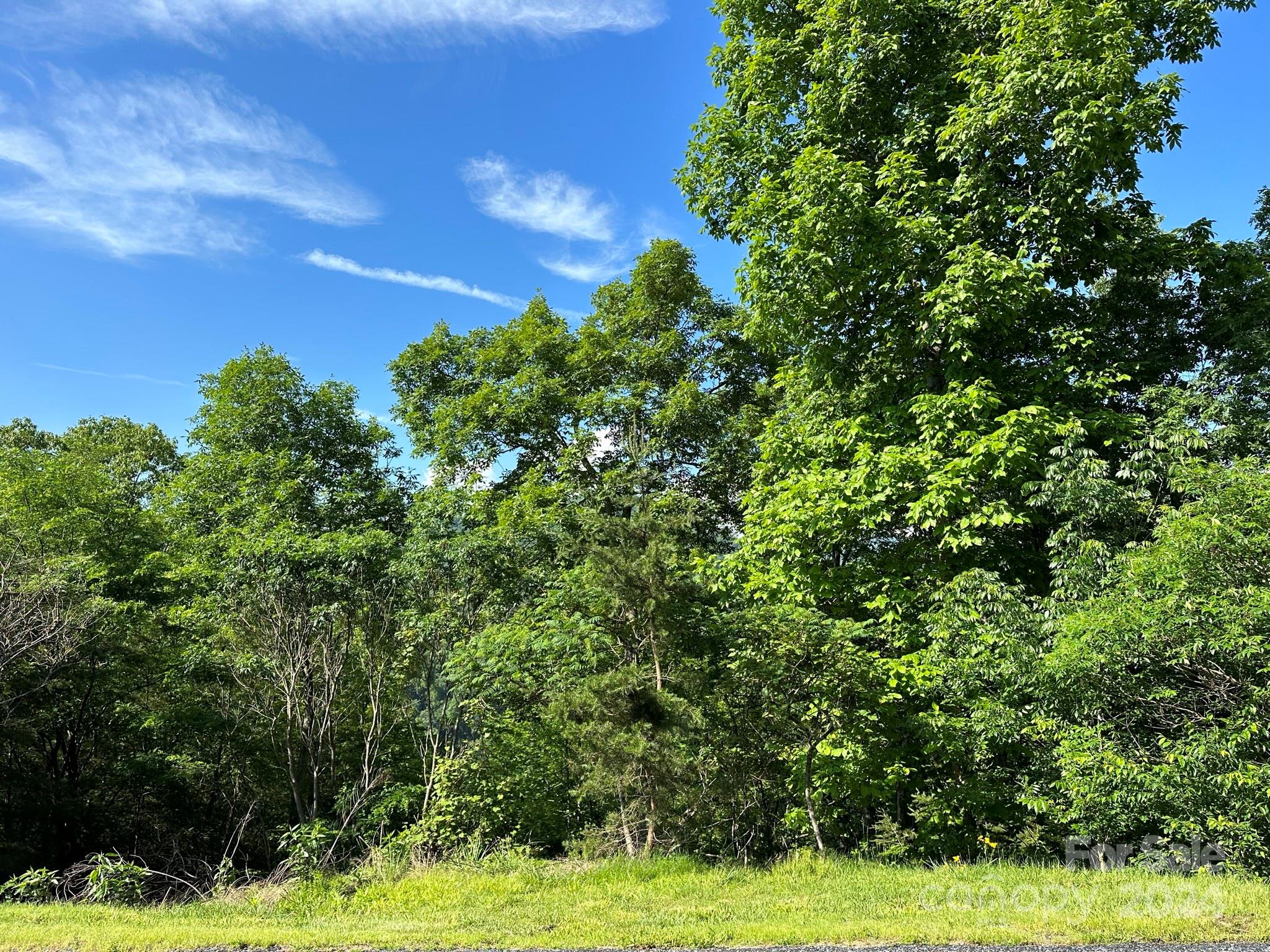 387 Wild River Run Marshall NC 28753