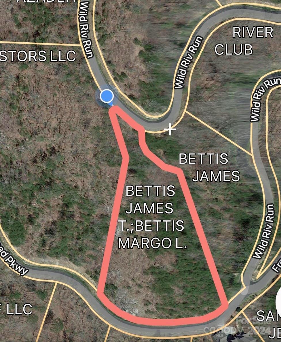 387 Wild River Run Marshall NC 28753