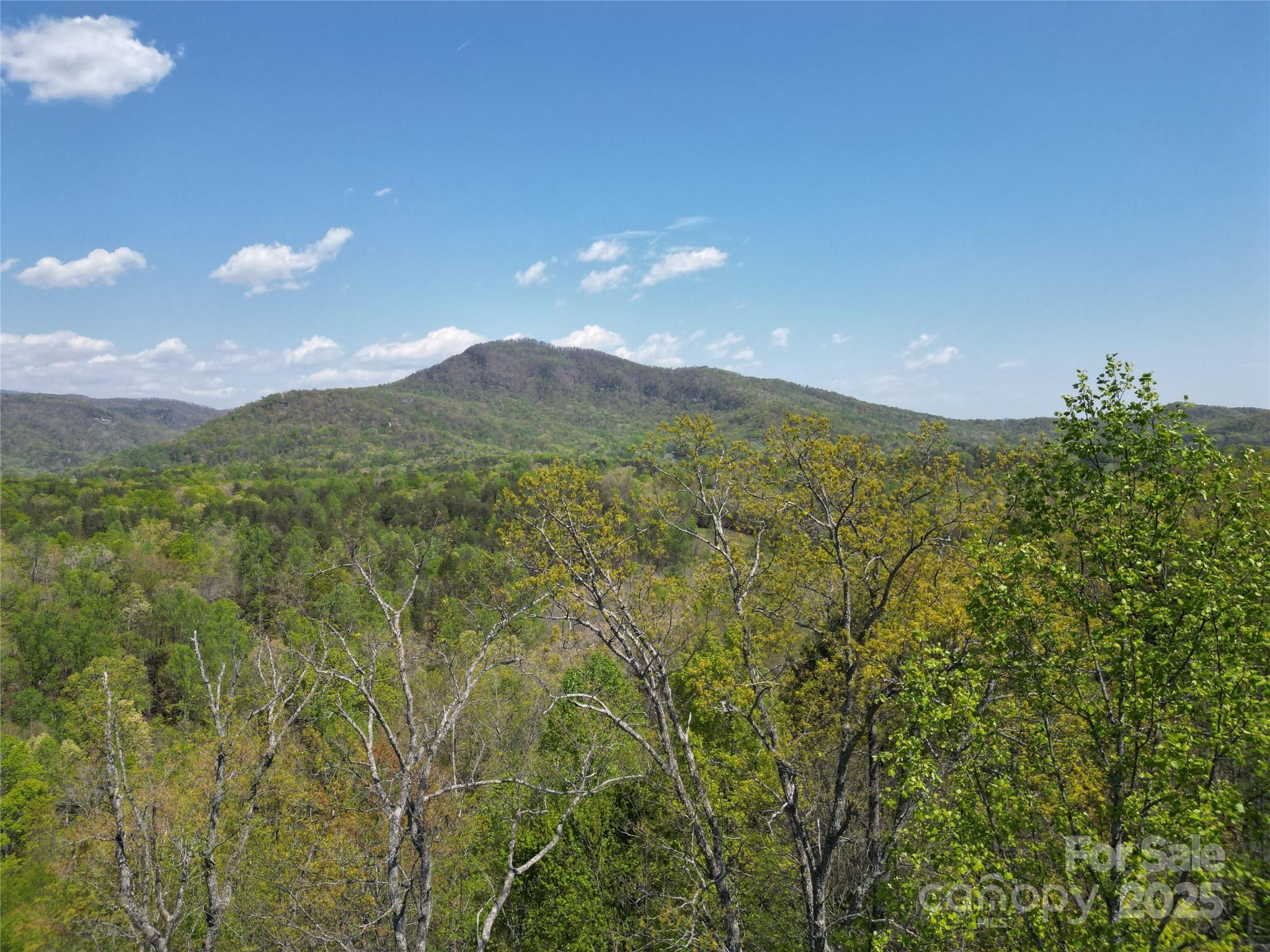 Lot 34 High Rock Ridge Lake Lure NC 28746