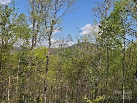 Lot 34 High Rock Ridge Lake Lure NC 28746