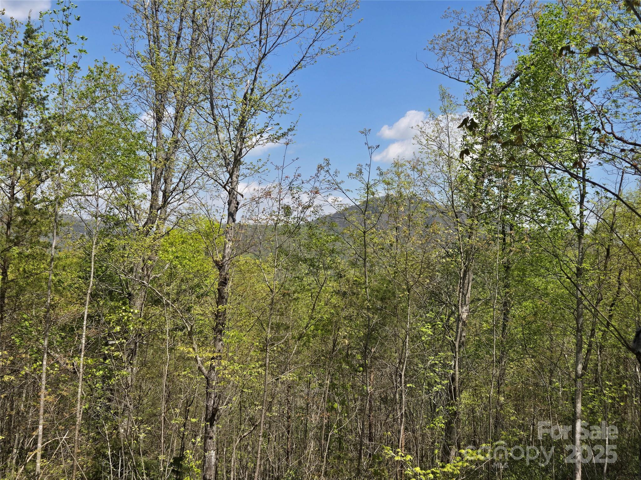 Lot 34 High Rock Ridge Lake Lure NC 28746