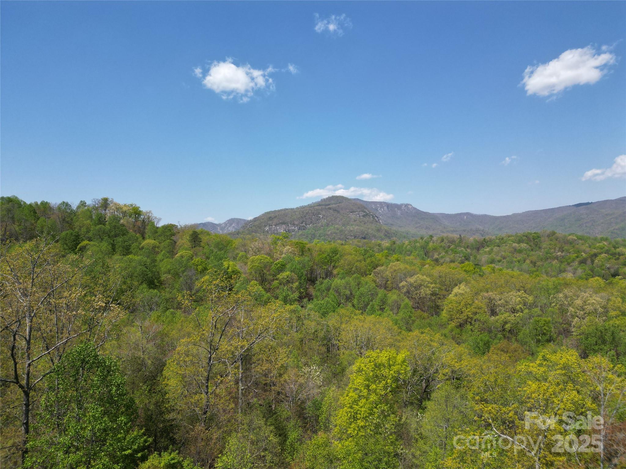 Lot 34 High Rock Ridge Lake Lure NC 28746