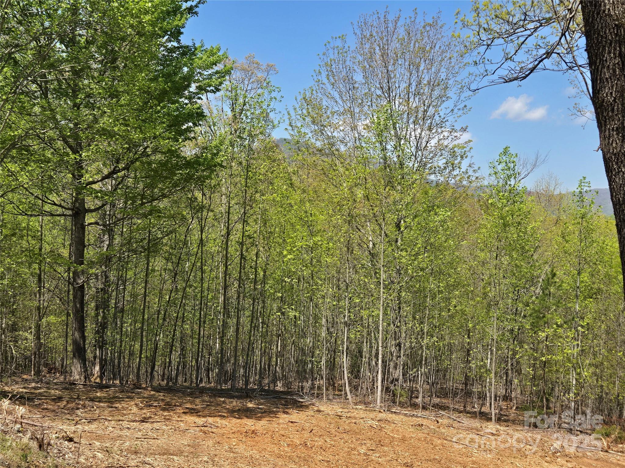 Lot 34 High Rock Ridge Lake Lure NC 28746