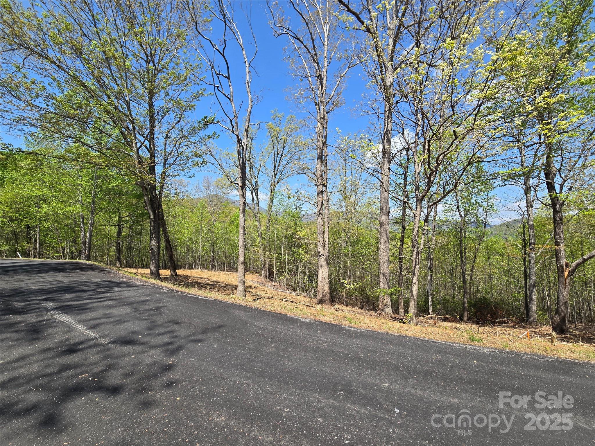 Lot 34 High Rock Ridge Lake Lure NC 28746