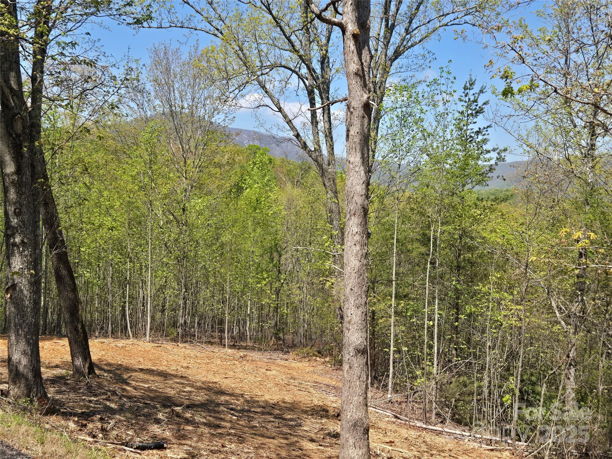 Lot 34 High Rock Ridge Lake Lure NC 28746