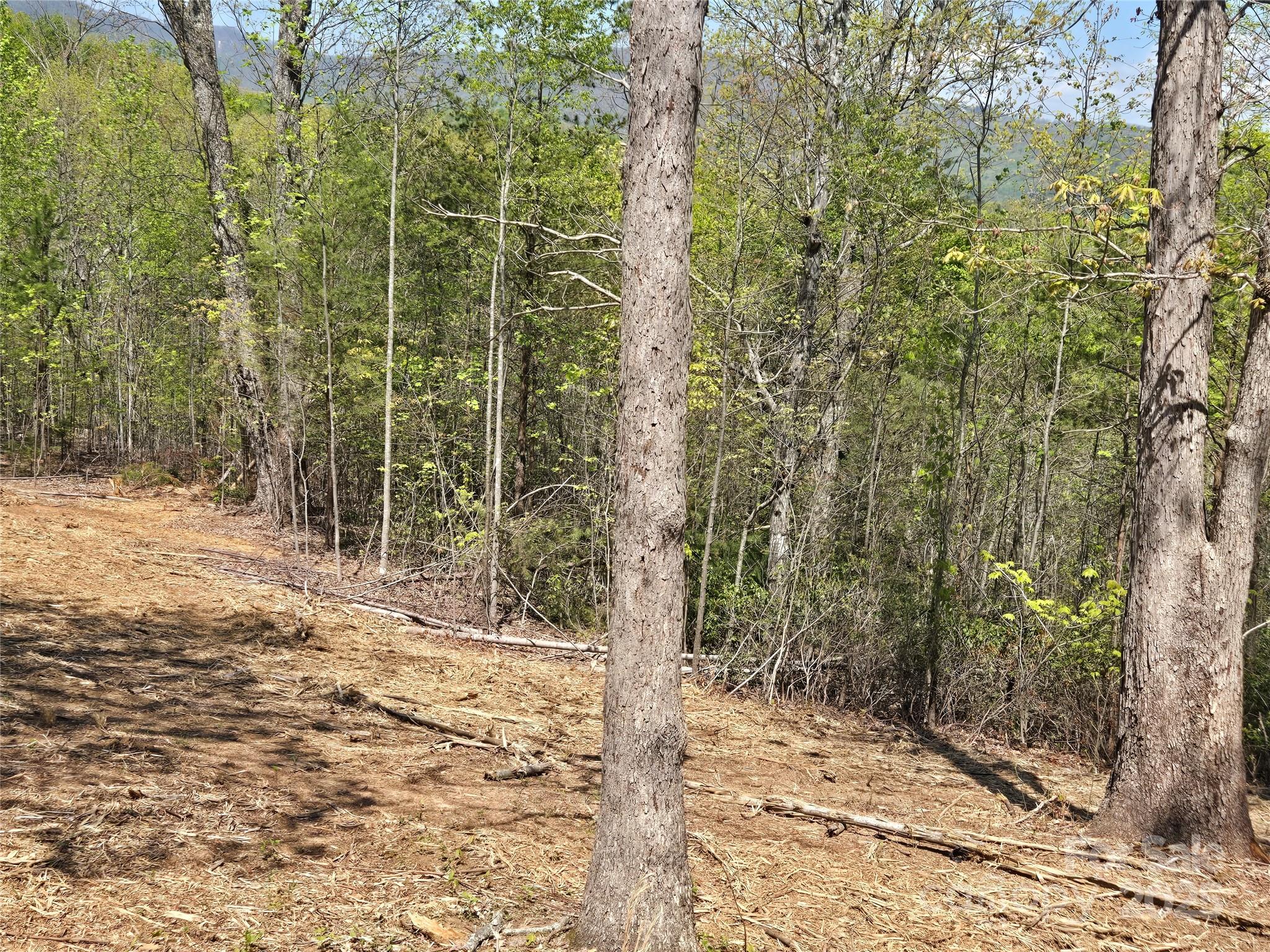 Lot 34 High Rock Ridge Lake Lure NC 28746