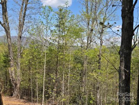 Lot 34 High Rock Ridge Lake Lure NC 28746
