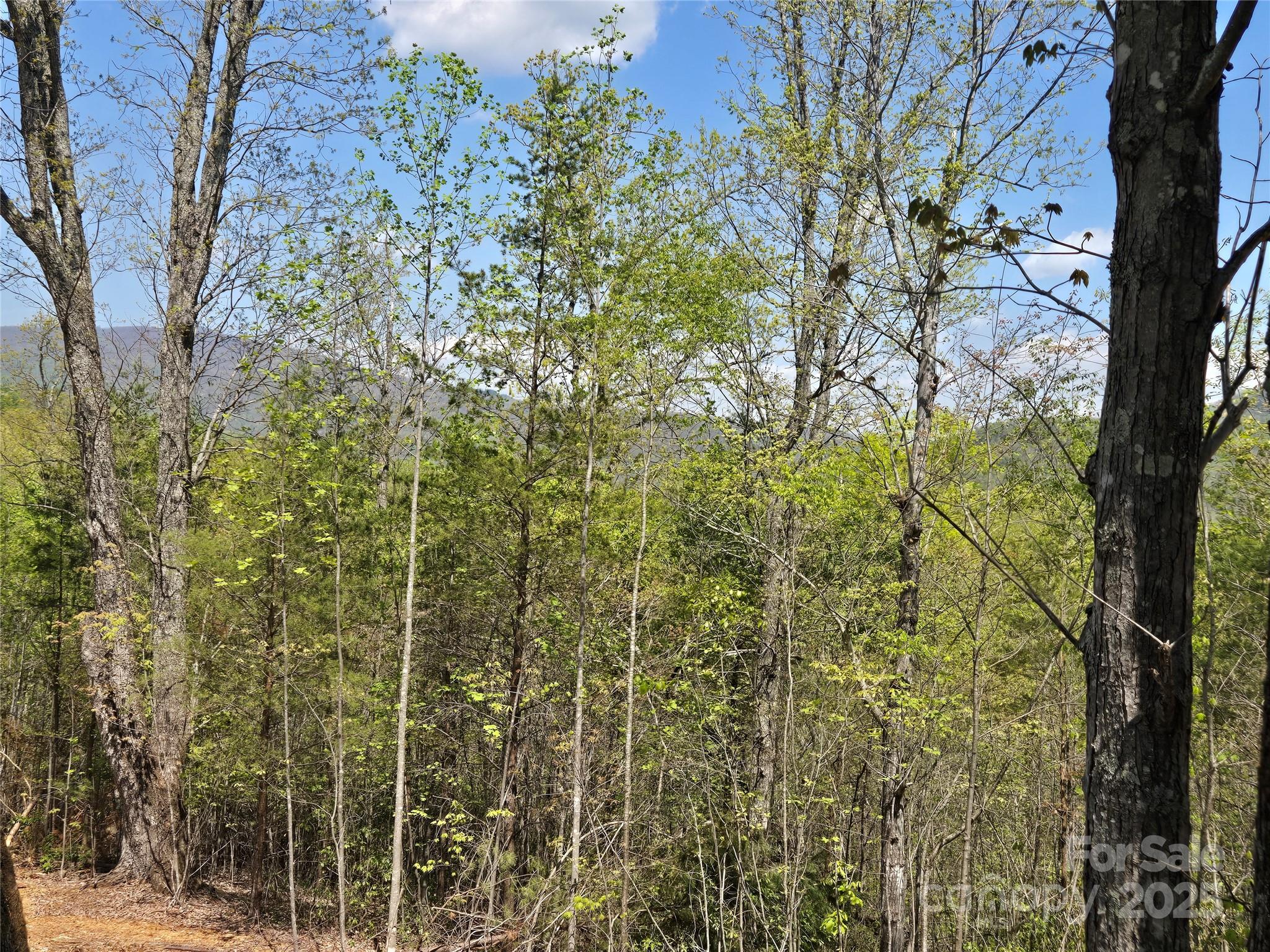 Lot 34 High Rock Ridge Lake Lure NC 28746
