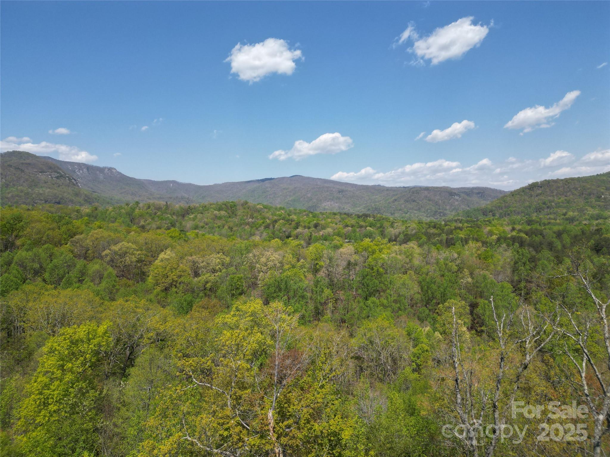 Lot 34 High Rock Ridge Lake Lure NC 28746