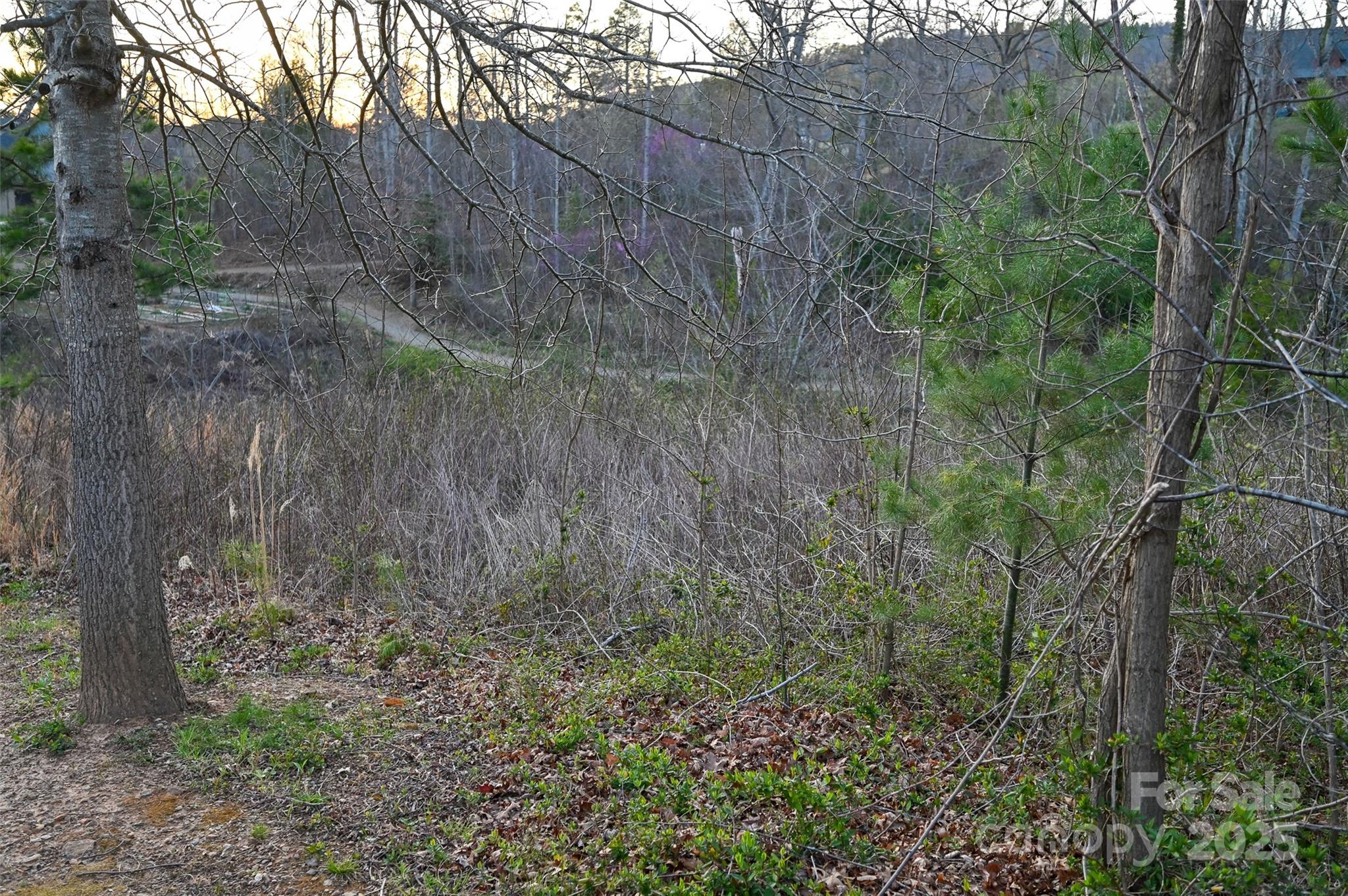 64 French Willow Drive Asheville NC 28804