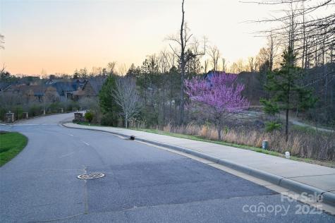 64 French Willow Drive Asheville NC 28804