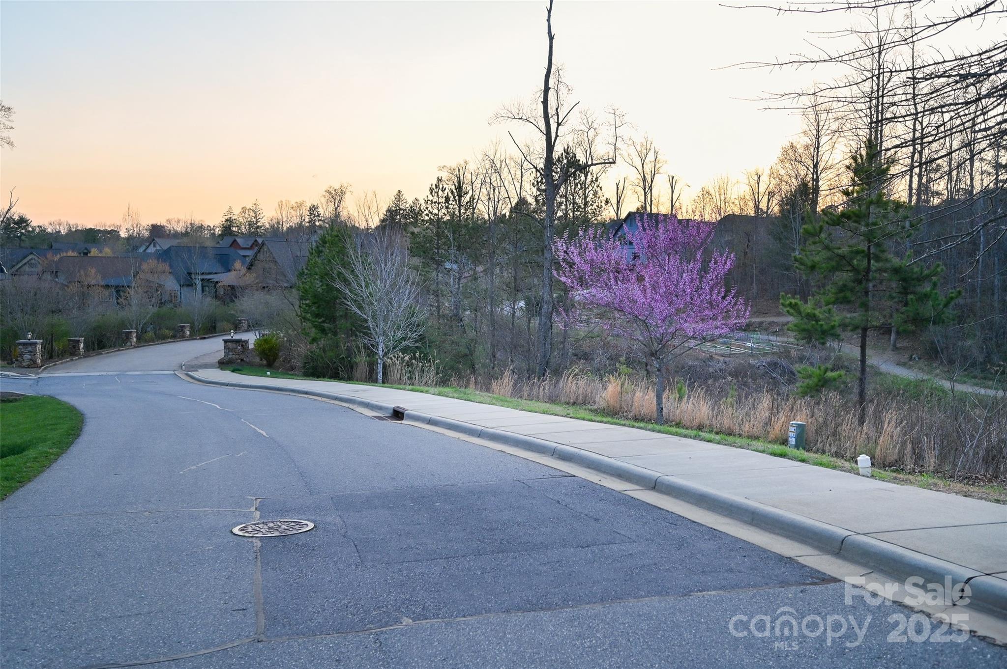 64 French Willow Drive Asheville NC 28804